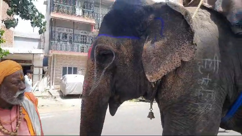 लुधियाना से गज राज के साथ&nbsp; 10 से12 महात्मा गर्मी से राहत के लिए निकले हिमाचल भम्रण