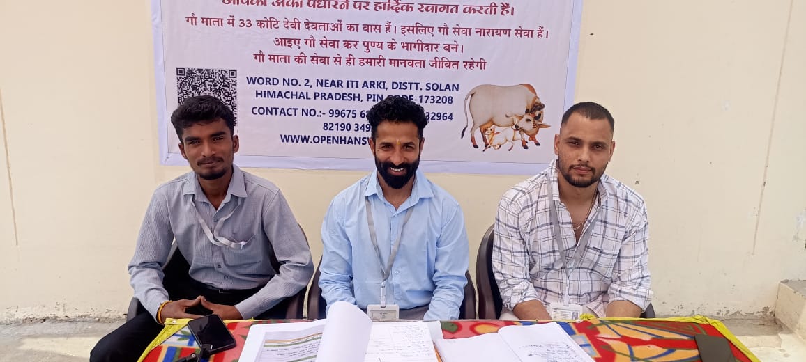 ओपन हैंडस वैलफेयर सोसाईटी सड़कों पर बेसहारा घूम रही गउओं को आश्रय देने के लिए कर रही कार्य