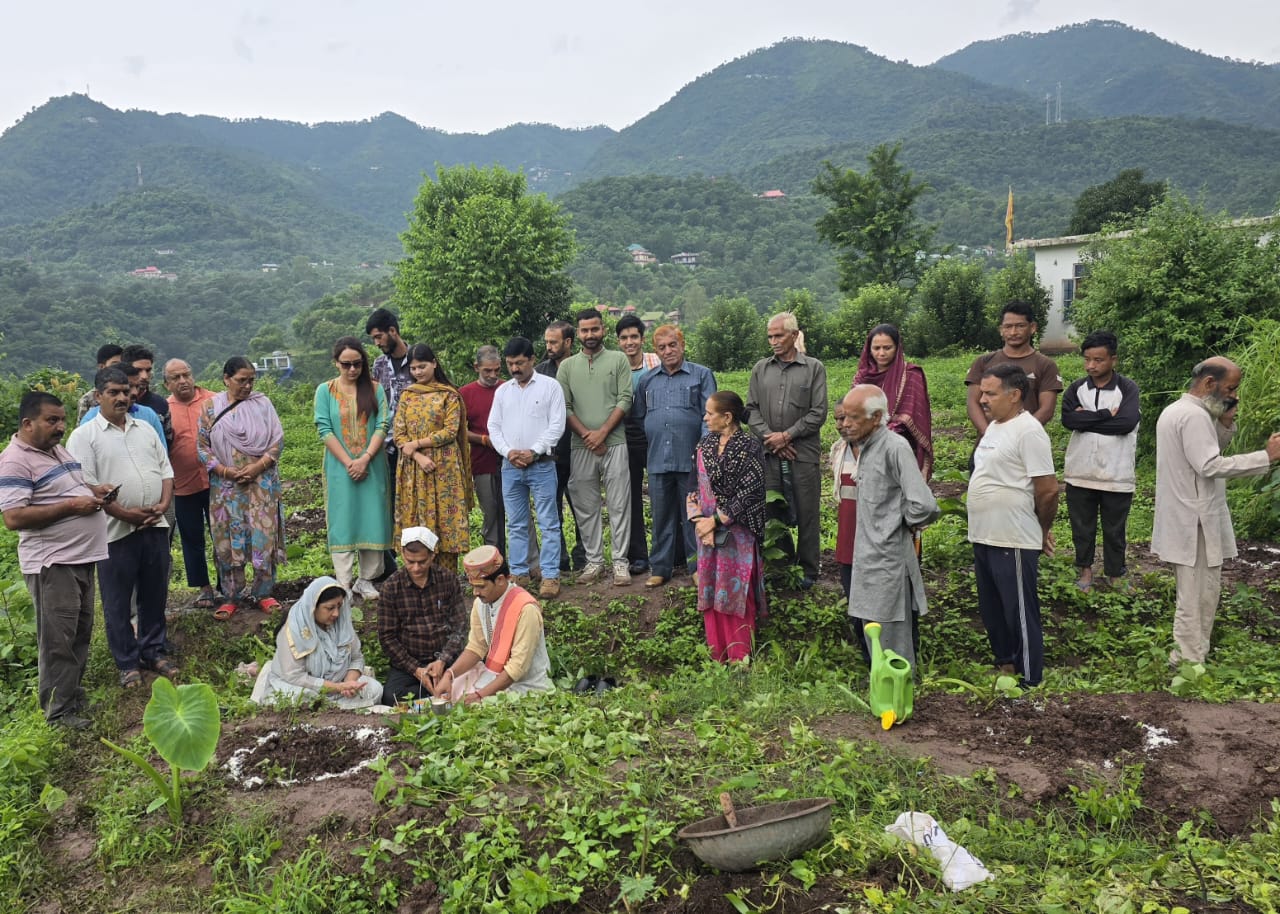 सेर देलग क्लस्टर में 4000 अमरूद के पौधों का रोपण